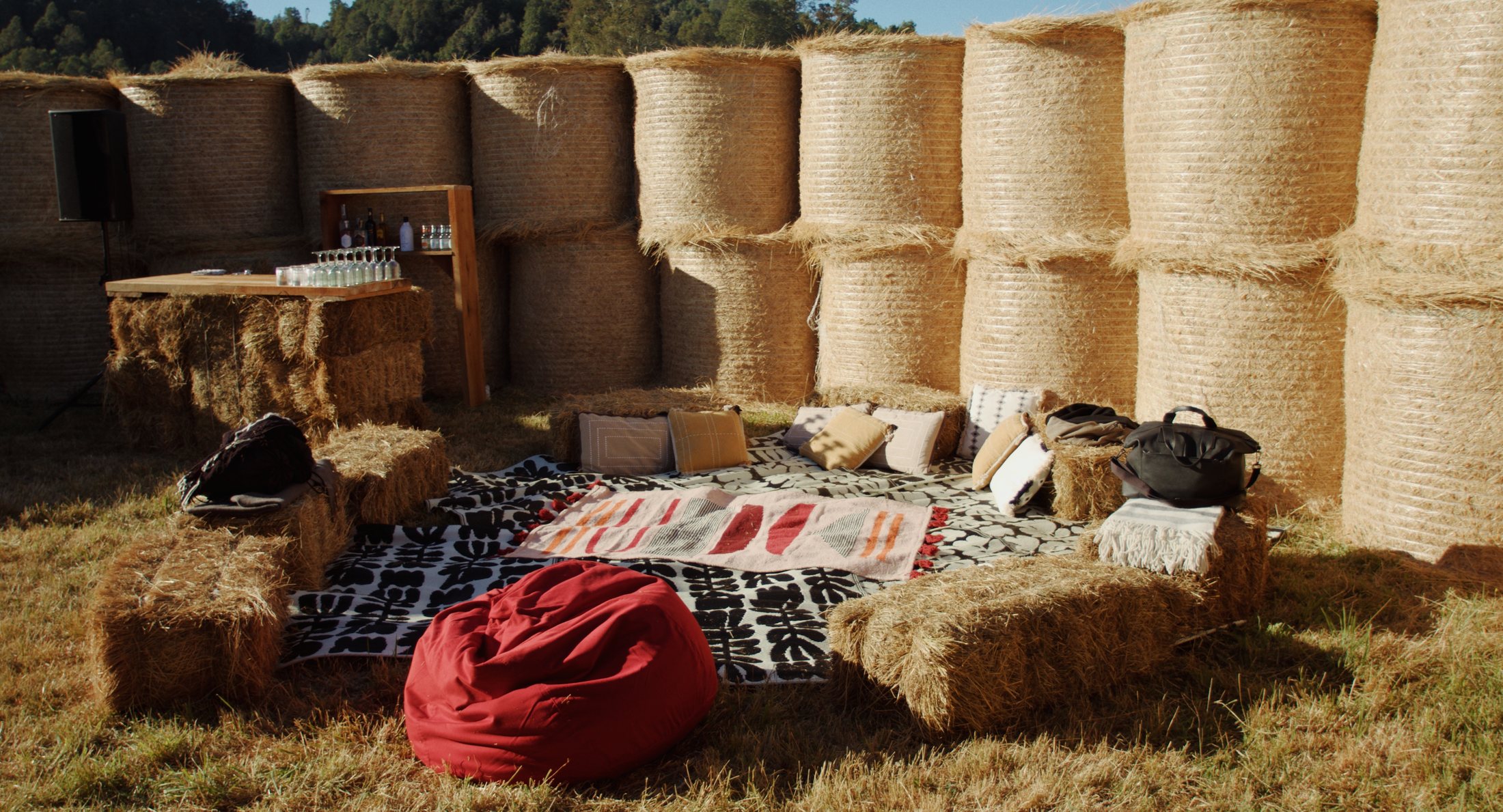 A long table in the landscape at Black Swan near Valdivia, Chile