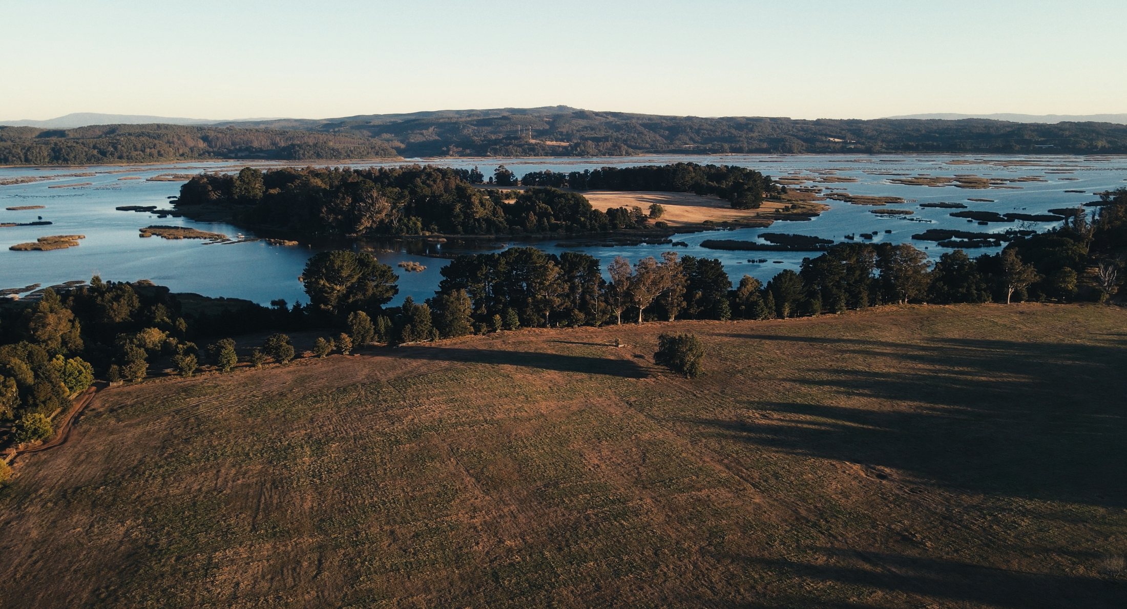 Aerial view of pasture, trees, and wetlands