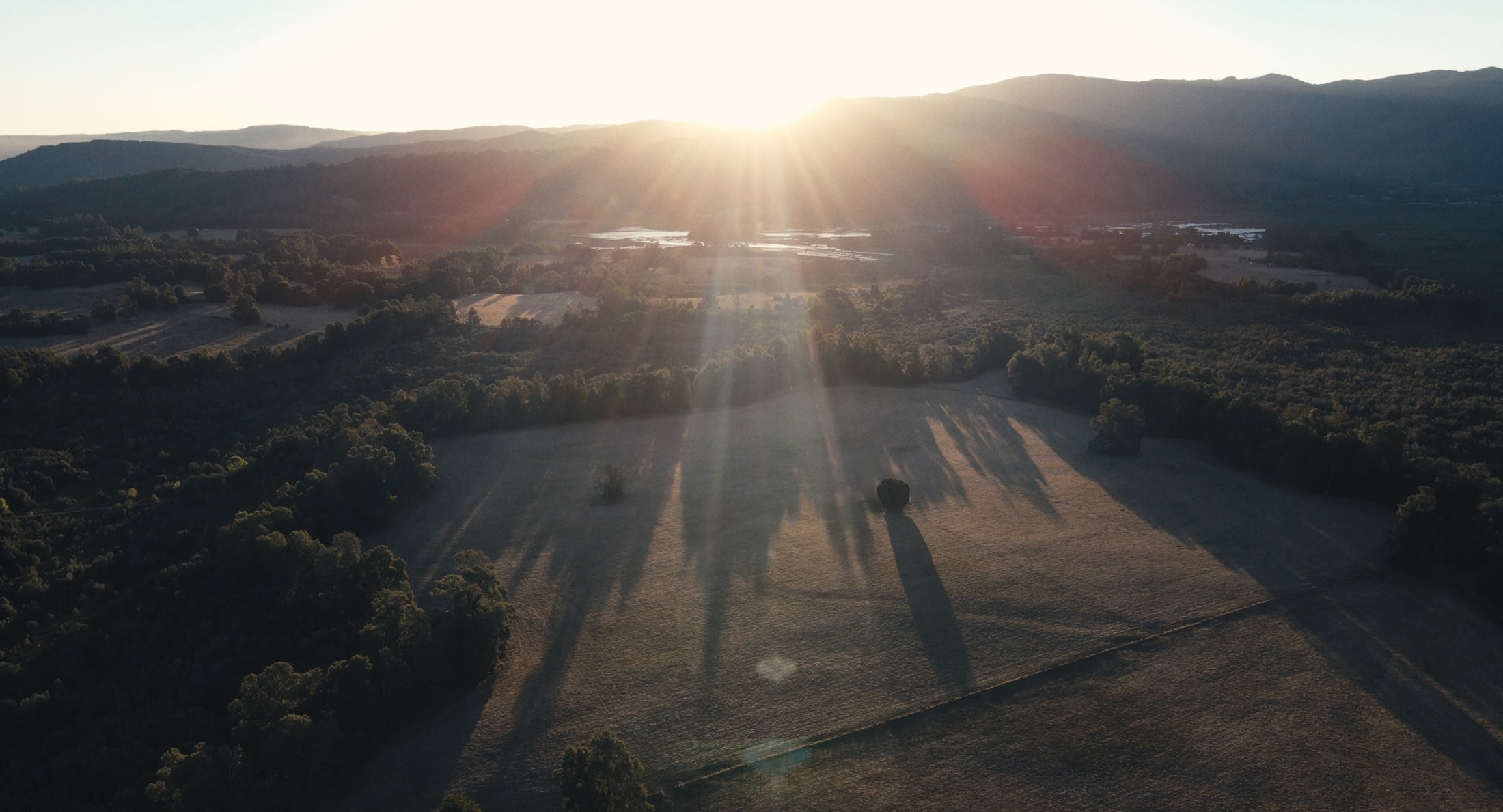 Aerial view of sunrise over fields, forest, and distant water