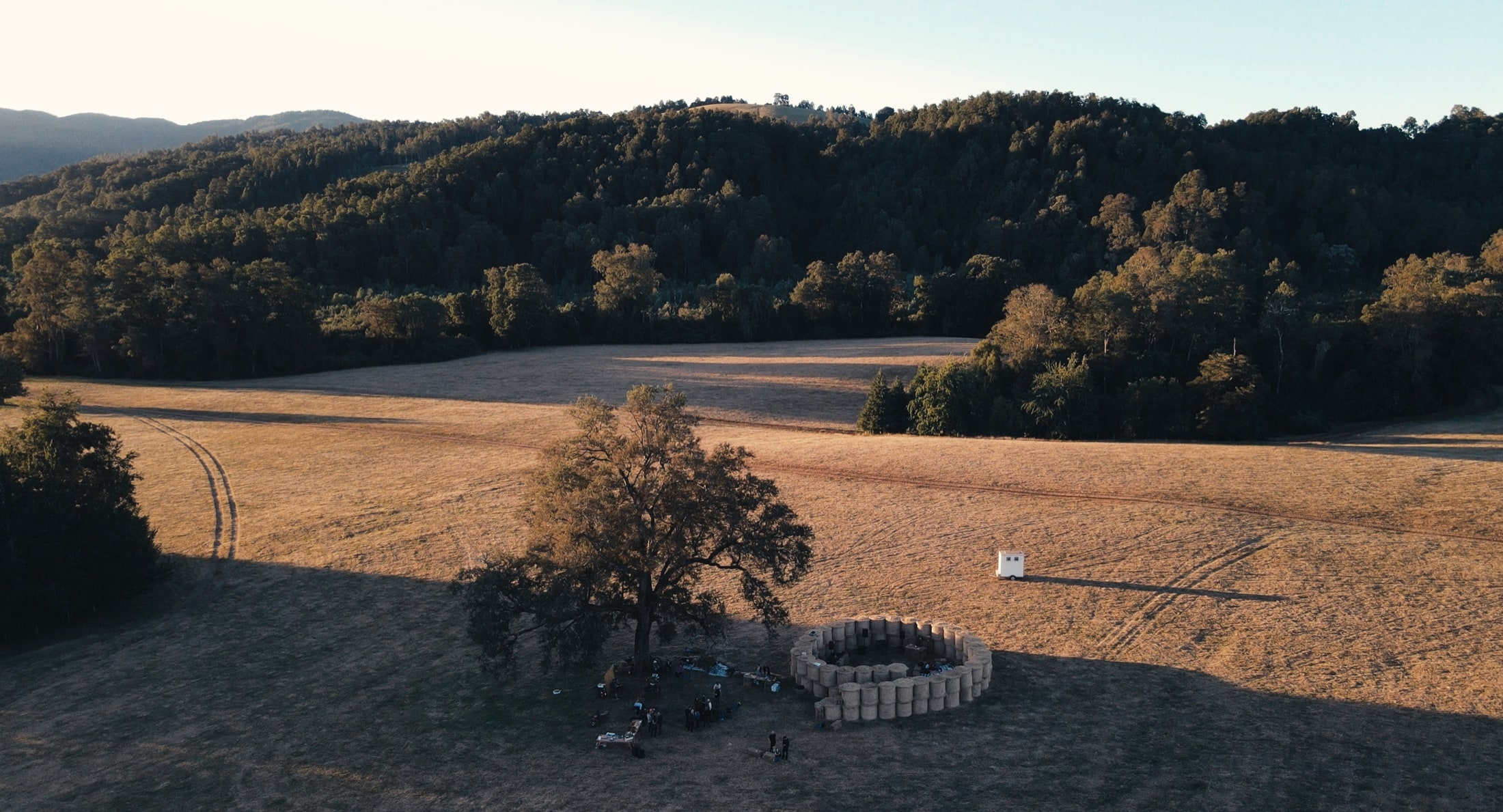 Aerial view of an open field with a circular installation near a large tree